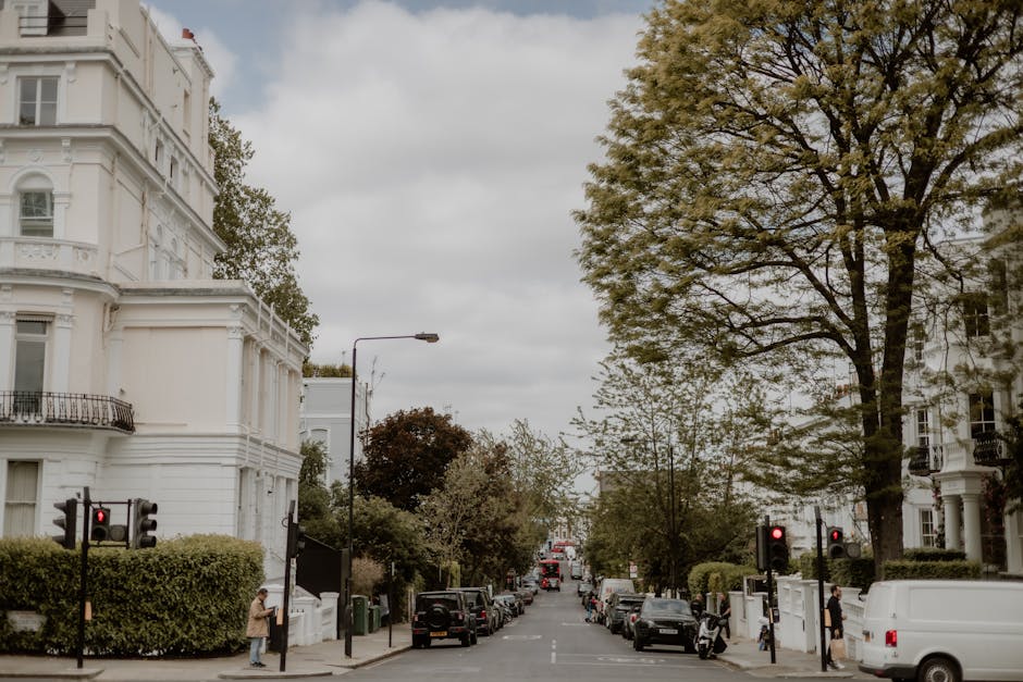 A wide view of a residential street in West Hampstead showing white Victorian-style terraced houses with ornate architectural details, large trees lining the pavement, and a row of parked cars including a white van positioned for loading or unloading. The street is busy with traffic lights, and pedestrians are seen waiting at the curb. Overcast sky and diffused daylight illuminate the scene, suggesting a typical day involving home relocation activities. The image captures the ideal environment where professional removals, such as those offered by Man with Van West Hampstead, would facilitate furniture transport and packing during a house move, with visible equipment like vans and street furniture supporting the logistics process.