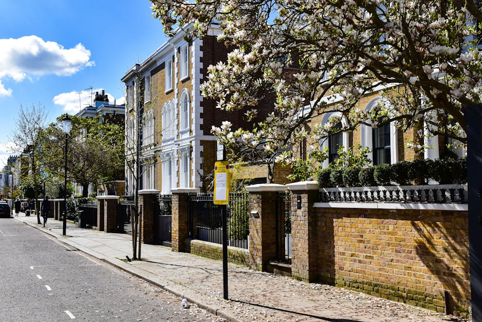 Photograph of a multi-story residential building on Broadhurst Gardens in West Hampstead, visible through large leafy trees with green and yellow foliage suggesting early autumn. The building is white with multiple large windows and small balconies on the upper floors, and a white entrance porch. A black metal fence surrounds a small front garden with shrubs and a pathway leading to the entrance. In front of the building, a paved pathway is partially covered with fallen leaves, and a parked dark-colored car is visible to the left. The scene is lit by bright daylight, highlighting the vibrant leaves and the building's facade. This setting encapsulates the typical environment for house removals and furniture transport services, with the street location suitable for loading and unloading items as part of a home relocation project. Man with Van West Hampstead may carry out furniture transport or packing and moving services in such residential areas.
